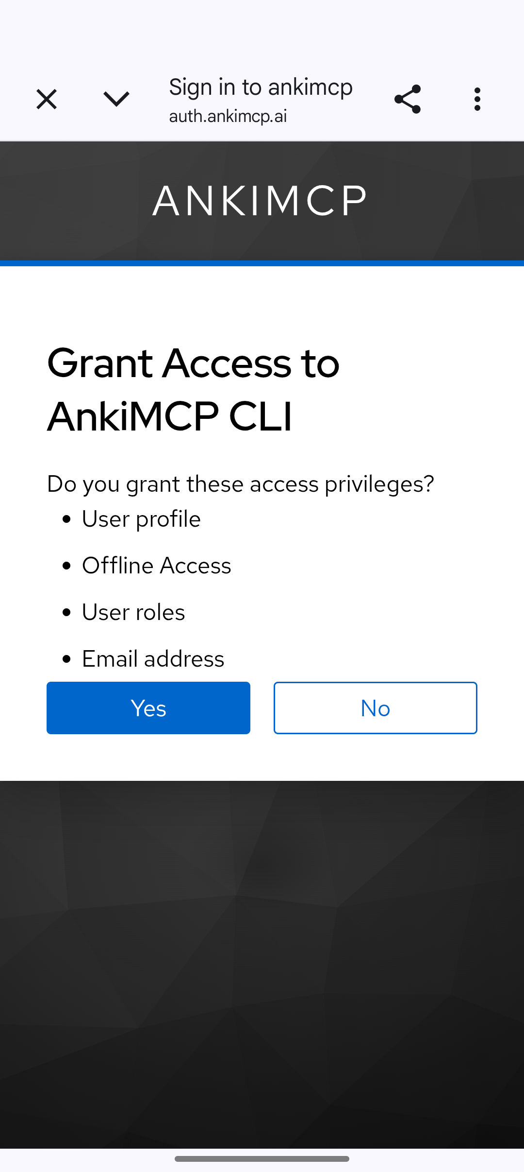 AnkiMCP's Grant Access page listing user profile, offline access, user roles, and email address, with Yes and No buttons.